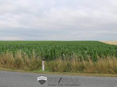 Gewerbeobjekt kaufen in 2011 Sierndorf