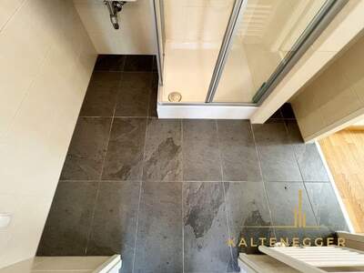 Gewerbeobjekt mieten in 1140 Wien (Bild 5)