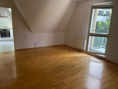 Terrassenwohnung kaufen in 3400 Klosterneuburg (Bild 3)