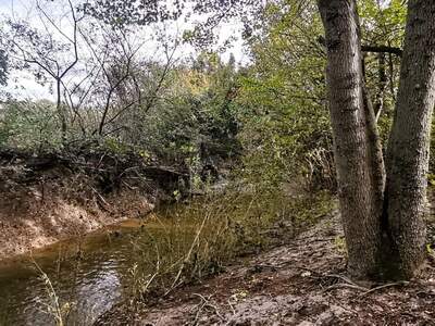 Grundstück kaufen in 2602 Blumau