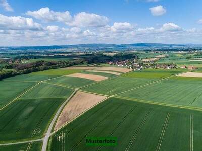 Grundstück kaufen in 2620 Wartmannstetten