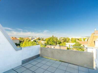 Terrassenwohnung kaufen in 1230 Wien (Bild 1)