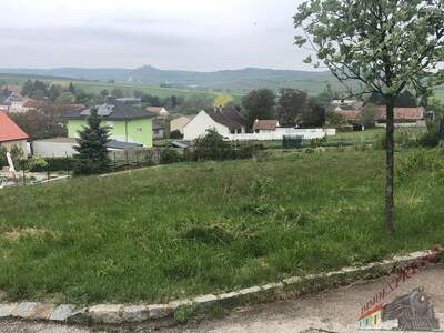 Grundstück kaufen in 2161 Poysdorf (Bild 3)