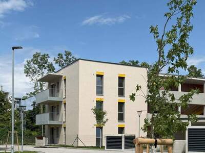 Wohnung mieten in 2700 Wiener Neustadt