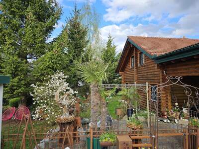 Haus mit Garten kaufen in 3950 Grossdietmanns (Bild 4)