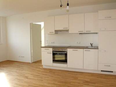 Apartment provisionsfrei mieten in 1220 Wien