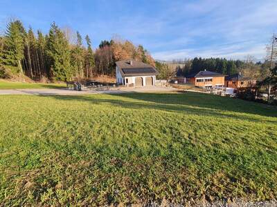 Grundstück kaufen in 4441 Behamberg (Bild 2)