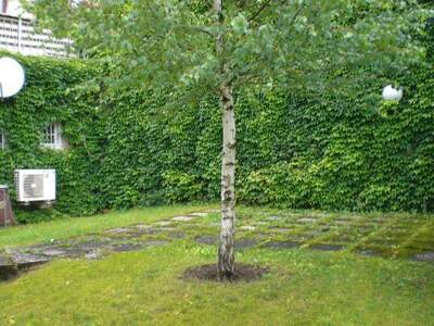 Wohnung mieten in 3184 Türnitz (Bild 4)