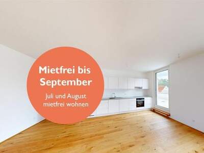 Wohnung mieten in 3500 Krems
