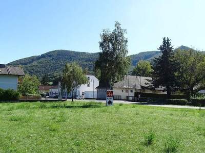 Grundstück kaufen in 2571 Thenneberg