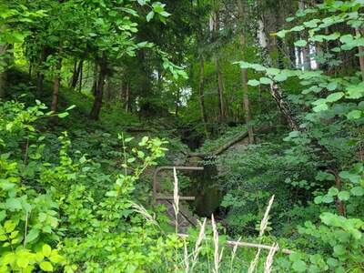 Grundstück kaufen in 3160 Traisen (Bild 4)