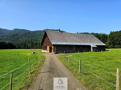 Haus kaufen in 6852 Sibratsgfäll (Bild 3)