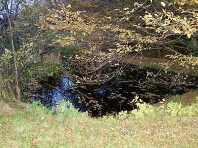 Grundstück kaufen in 3413 Hintersdorf (Bild 5)