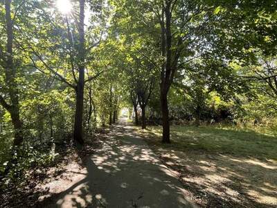 Grundstück kaufen in 2721 Bad Fischau