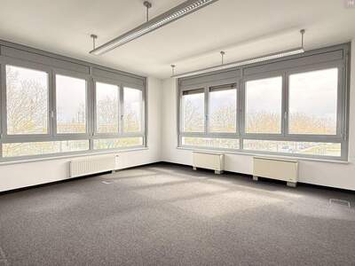 Gewerbeobjekt mieten in 2320 Schwechat (Bild 1)