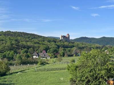 Grundstück kaufen in 2344 Maria Enzersdorf (Bild 1)