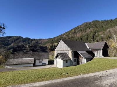 Bauernhaus kaufen in 3334 Gaflenz