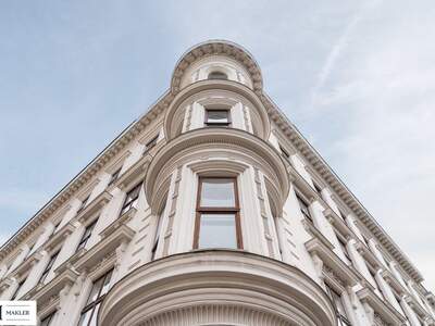 Gewerbeobjekt mieten in 1080 Wien (Bild 4)