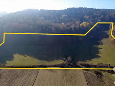 Gewerbeobjekt kaufen in 8271 Bad Waltersdorf