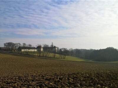 Haus provisionsfrei kaufen in 8280 Fürstenfeld