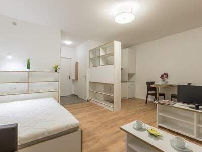 Wohnung mieten in 2700 Wr. Neustadt (Bild 5)