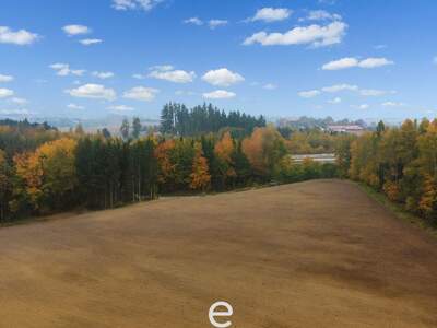 Gewerbeobjekt kaufen in 4642 Sattledt (Bild 2)