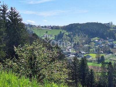 Gewerbeobjekt kaufen in 8152 Krottendorf (Bild 5)
