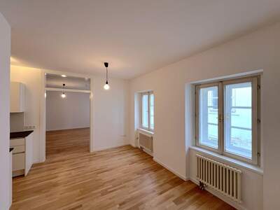 Altbauwohnung mieten in 1070 Wien (Bild 4)