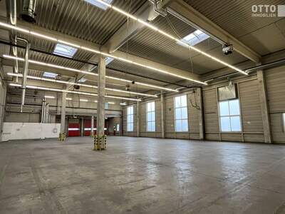 Gewerbeobjekt mieten in 1300 Flughafen Wien (Bild 4)