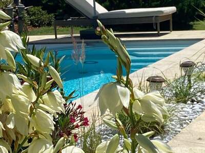 Haus mit Garten kaufen in 8051 Thal (Bild 2)