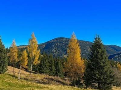 Gewerbeobjekt kaufen in 8850 Murau (Bild 3)