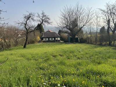 Haus mit Garten mieten in 3400 Klosterneuburg (Bild 4)