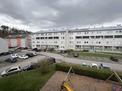 Terrassenwohnung mieten in 4470 Enns (Bild 5)