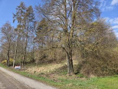 Grundstück kaufen in 4522 Sierning