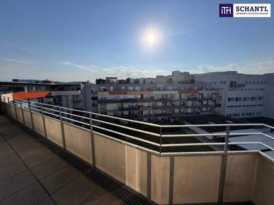 Terrassenwohnung mieten in 8020 Graz (Bild 1)