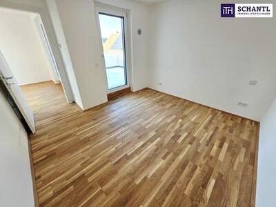 Terrassenwohnung kaufen in 1220 Wien (Bild 5)