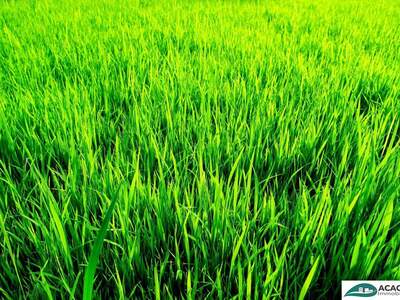 Grundstück kaufen in 3451 Michelhausen