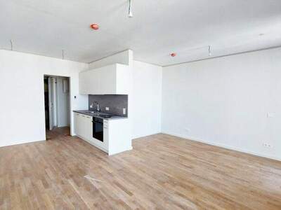 Terrassenwohnung mieten in 1220 Wien (Bild 3)