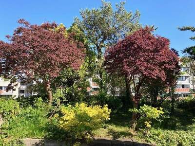 Wohnung mit Balkon kaufen in 8042 Graz (Bild 2)