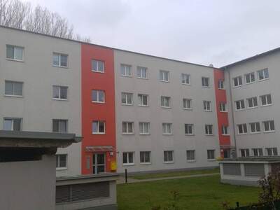 Wohnung mieten in 2700 Wiener Neustadt