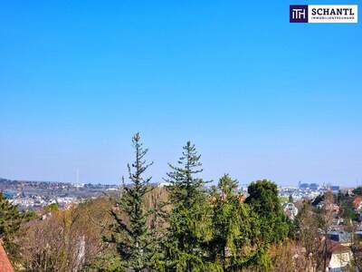 Eigentumswohnung in 1130 Wien (Bild 2)