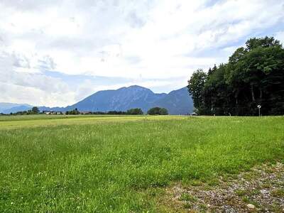 Grundstück kaufen in 6300 Angerberg