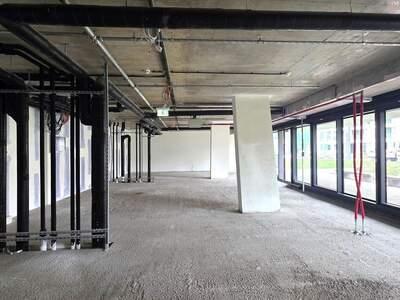Gewerbeobjekt mieten in 1220 Wien (Bild 4)
