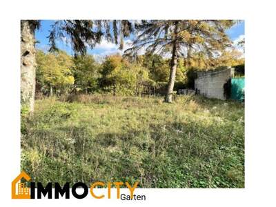 Grundstück kaufen in 2301 Oberhausen (Bild 4)