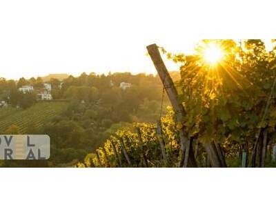 Wohnung kaufen in 1190 Wien