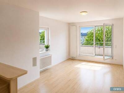 Anlageobjekt kaufen in 4020 Linz