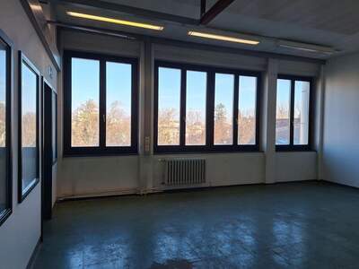 Gewerbeobjekt mieten in 2340 Mödling (Bild 3)