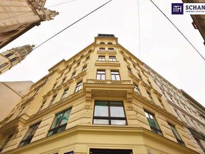 Wohnung mieten in 1010 Wien (Bild 2)