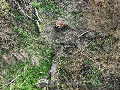 Grundstück kaufen in 3433 Königstetten (Bild 3)