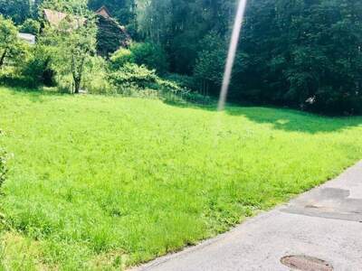 Grundstück kaufen in 8076 Vasoldsberg (Bild 3)